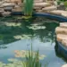 Creative Backyard Pond Ideas for a Serene Oasis